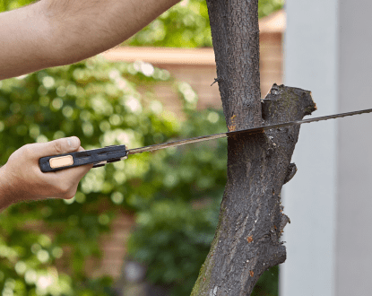 <p style="font-family: 'Poppins', sans-serif; font-weight: 700; font-size:24px;">TREE TRIMMING</p>