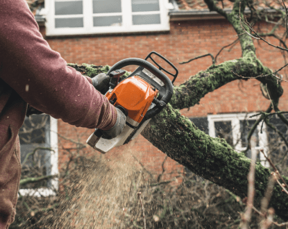 <p style="font-family: 'Poppins', sans-serif; font-weight: 700; font-size:24px;">POST-STORM TREE CLEANUP</p>